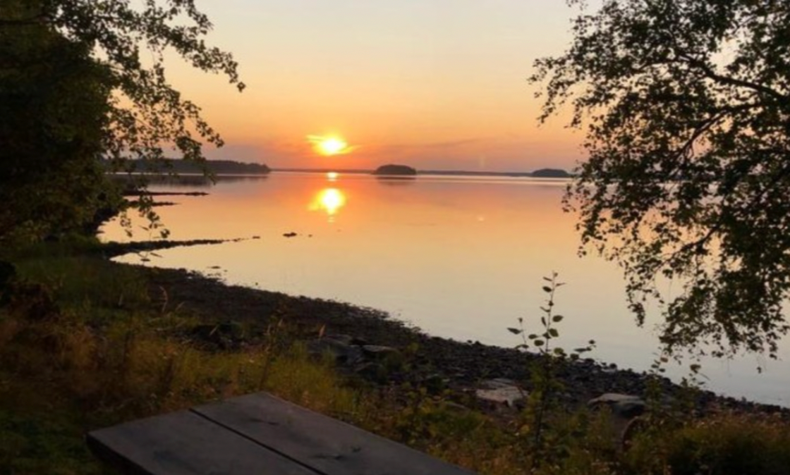 Newsletter July 2023 - Its Summertime