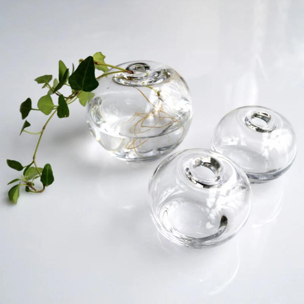 Three round, clear glass vases sit on a white surface; one contains water and a leafy green plant with visible roots, while the other two vases are empty.