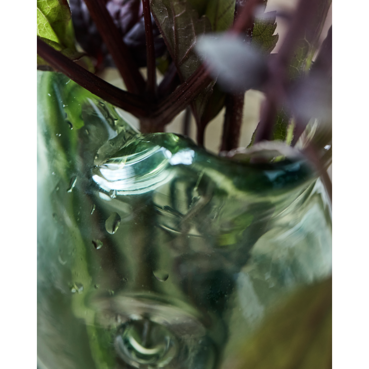 Close-up of the Vase Fish in green glass by House Doctor, featuring water droplets on its wavy rim and filled with leafy stems and purple-tinted branches, set against a softly blurred background.