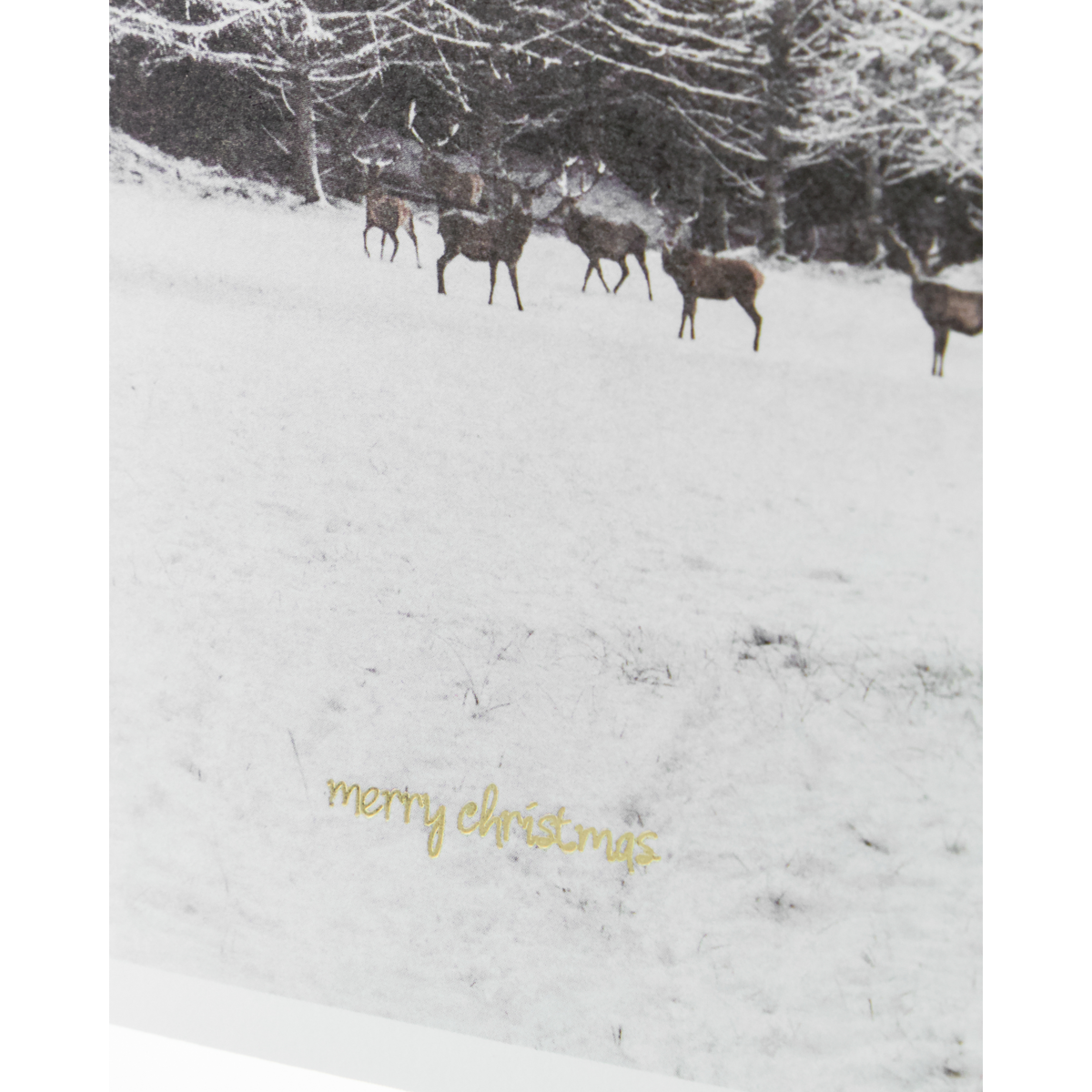 House Doctor’s “Greeting Cards, Winter, Set of 6” features deer in a snowy field with trees and “Merry Christmas” in gold, perfect for holiday cards or festive greetings.
