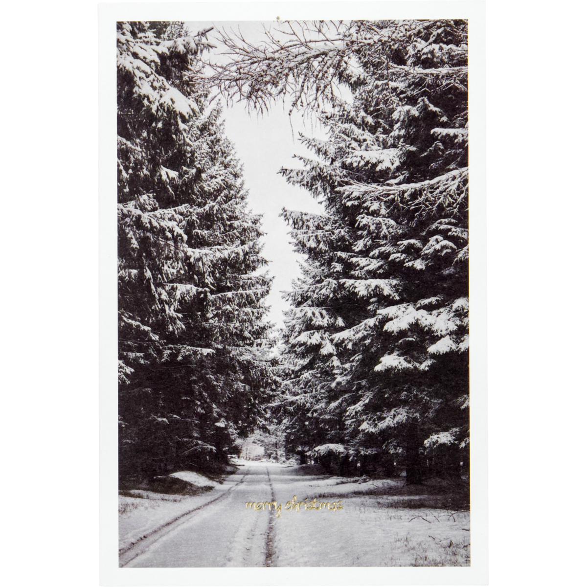 The House Doctor Greeting Cards, Winter, Set of 6 features a snowy path between evergreens with "merry christmas" at the bottom—ideal for sending warm holiday greetings.