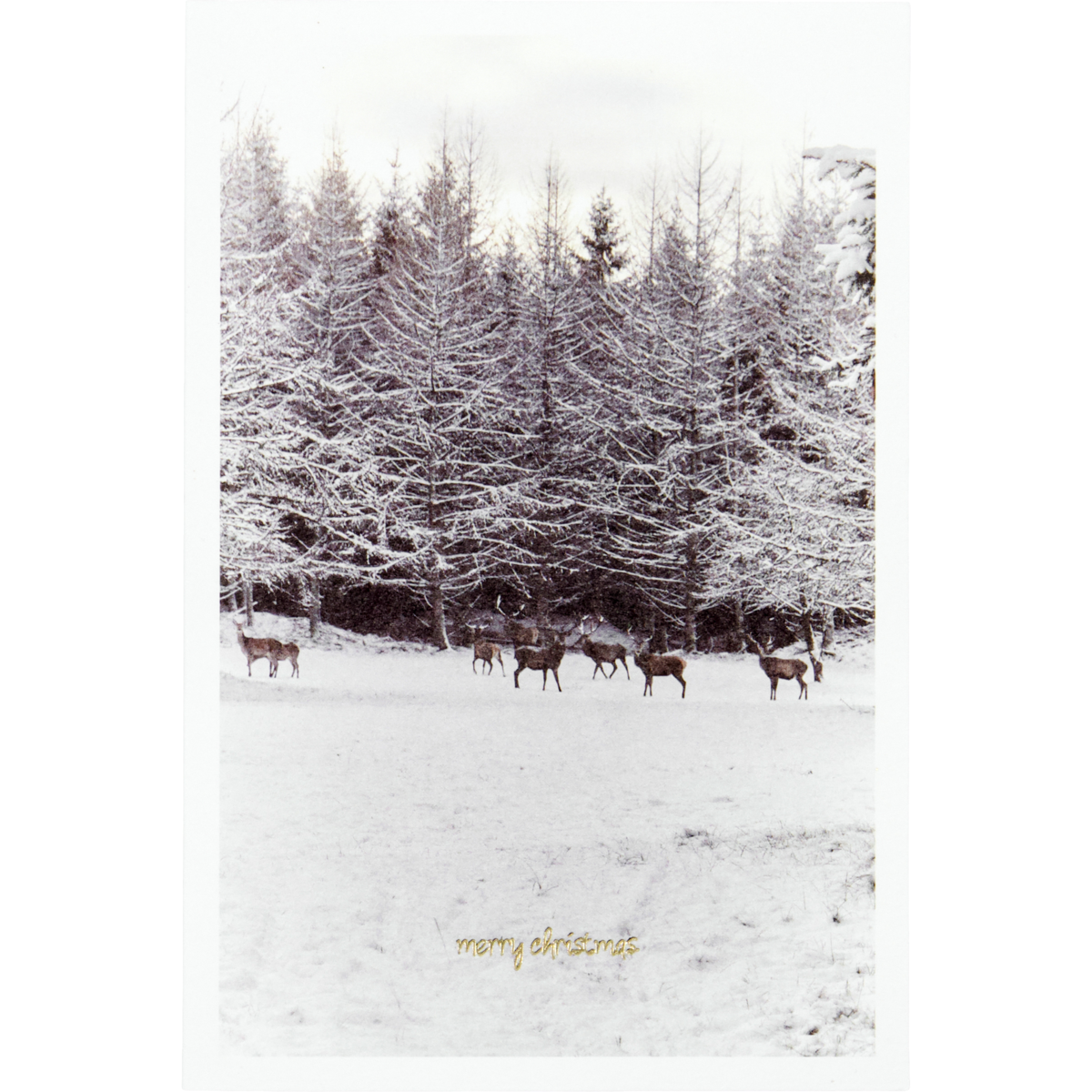 House Doctor Greeting Cards, Winter, Set of 6—featuring deer crossing a snowy field with "merry christmas" in gold—are perfect for festive holiday greetings or Christmas cards.