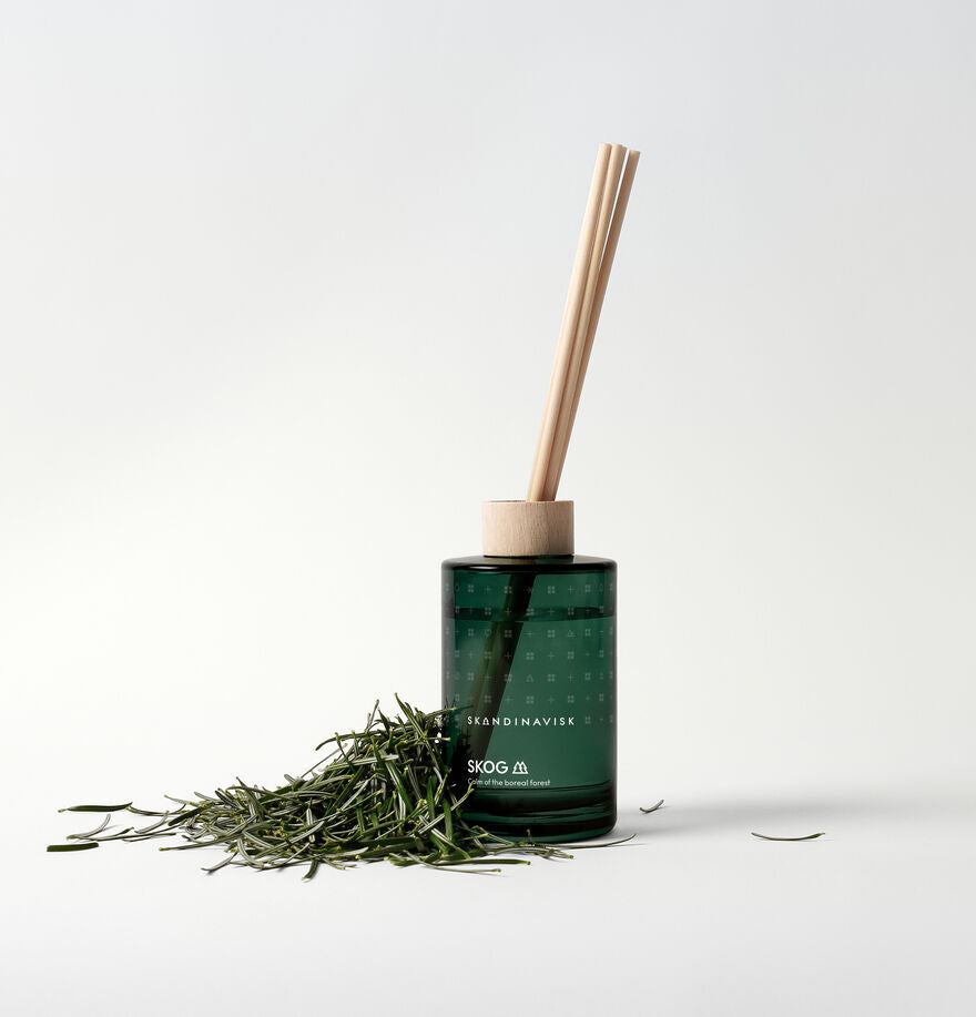A Skandinavisk Scent Diffuser Skog, 200ml, with wooden sticks stands beside dried green stems, infusing a refreshing Scandinavian forest scent against a white background.