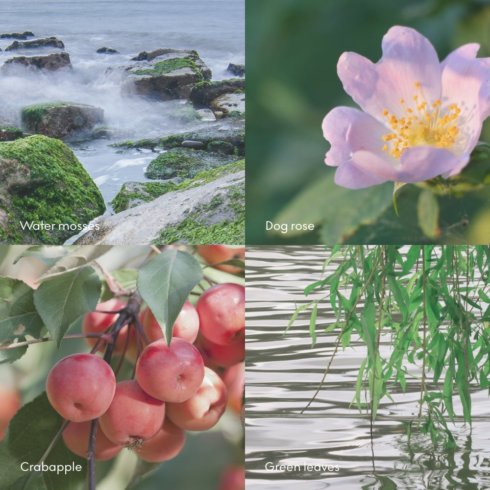 A collage of four images—coastal rocks with moss, dog rose, crabapples, and green leaves over water—highlights the Scandinavian scents that inspire the Skandinavisk Mini Scented Candle Oy 20h, 65g. Labels identify each fragrant element.
