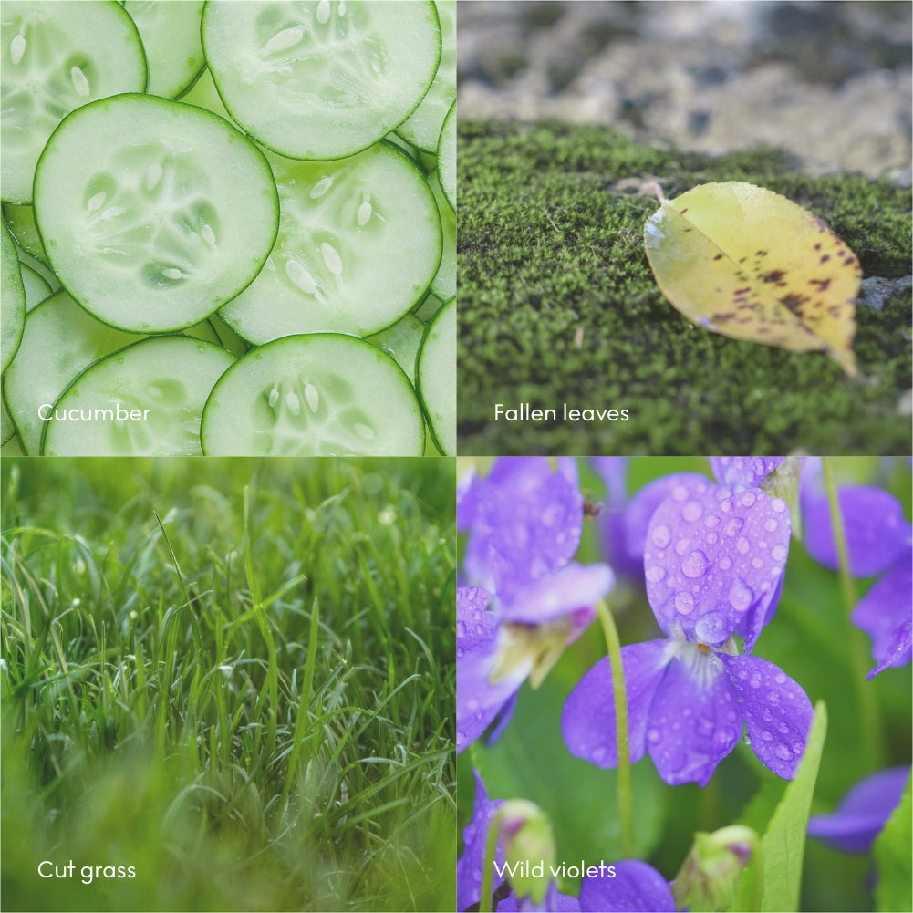 Four images—sliced cucumber, fallen leaf on moss, cut grass, blooming wild violets—are shown with labels, reflecting the calm essence of the Skandinavisk Mini Scented Candle Ro 20h, 65g, made from Swedish rapeseed wax.