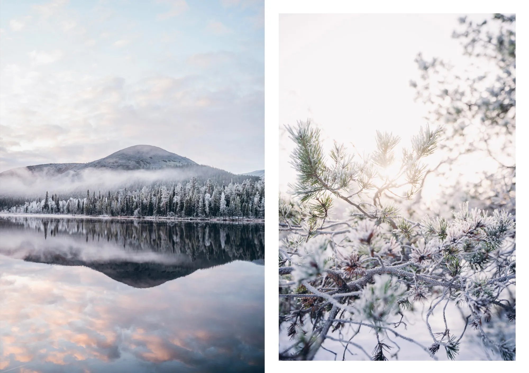 Side-by-side images—a calm lake reflecting snowy trees and a mountain, and sunlit snow-covered pines—capture the outdoor spirit of Food in the Woods - Vegetarian Recipes From Easy Snacks to Hiking Meals by Cozy Publishing.