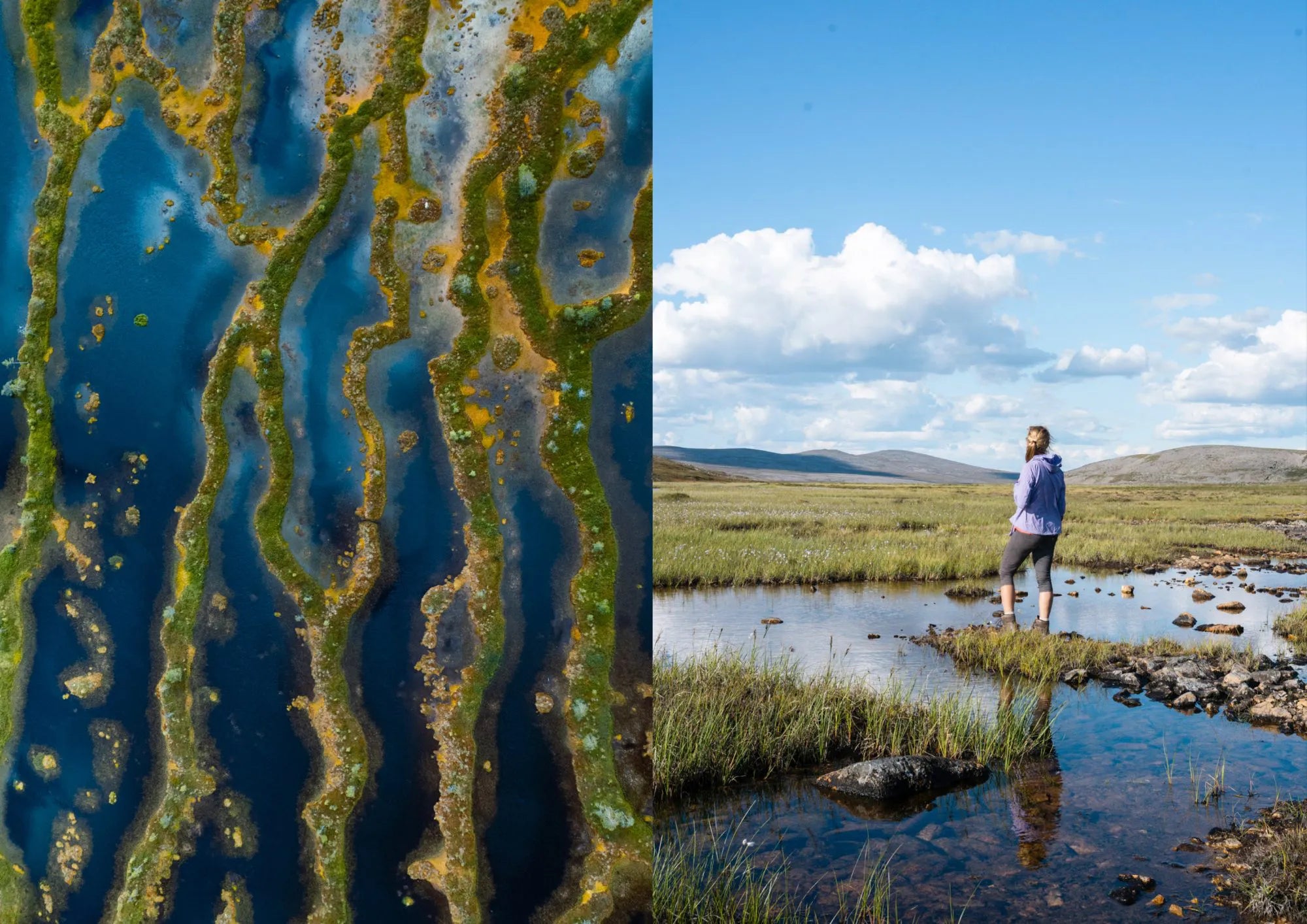 Split image: Left—close-up of algae patterns in blue water; right—a person by a stream. Inspired by Cozy Publishing’s Food in the Woods – Vegetarian Recipes From Easy Snacks to Hiking Meals for your next outdoor adventure.