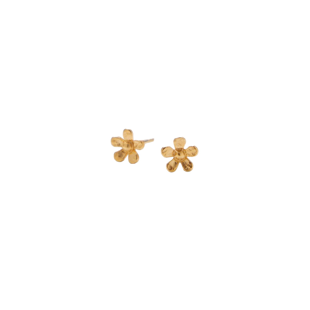 A pair of Pernille Corydon Wild Poppy Stud Earrings in Gold, featuring simple six-petal flower shapes, inspired by mini wild poppies and shown on a plain white background.