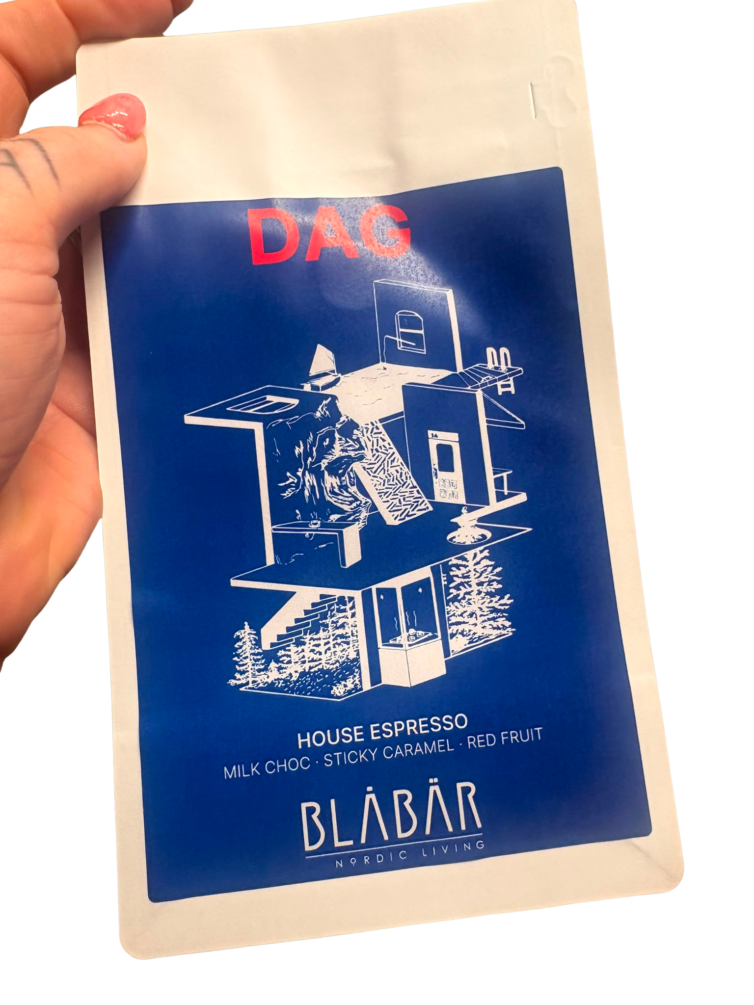 A hand holds a blue and white 250g Dag House Coffee Beans Blåbär bag, Single Origin Colombia, with minimalist house art and Blåbär Nordic Living branding at the bottom.