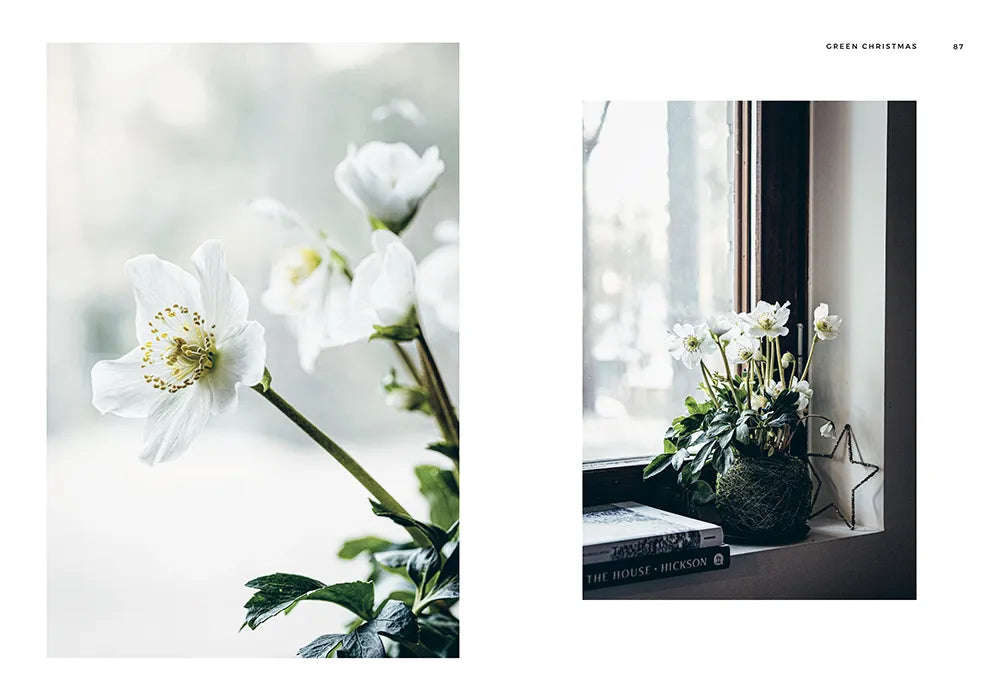 A close-up of white Christmas flowers and a potted white floral from Green Christmas - Wreaths & Floral Arrangements by Cozy Publishing, displayed on a window sill beside books and a star decoration.