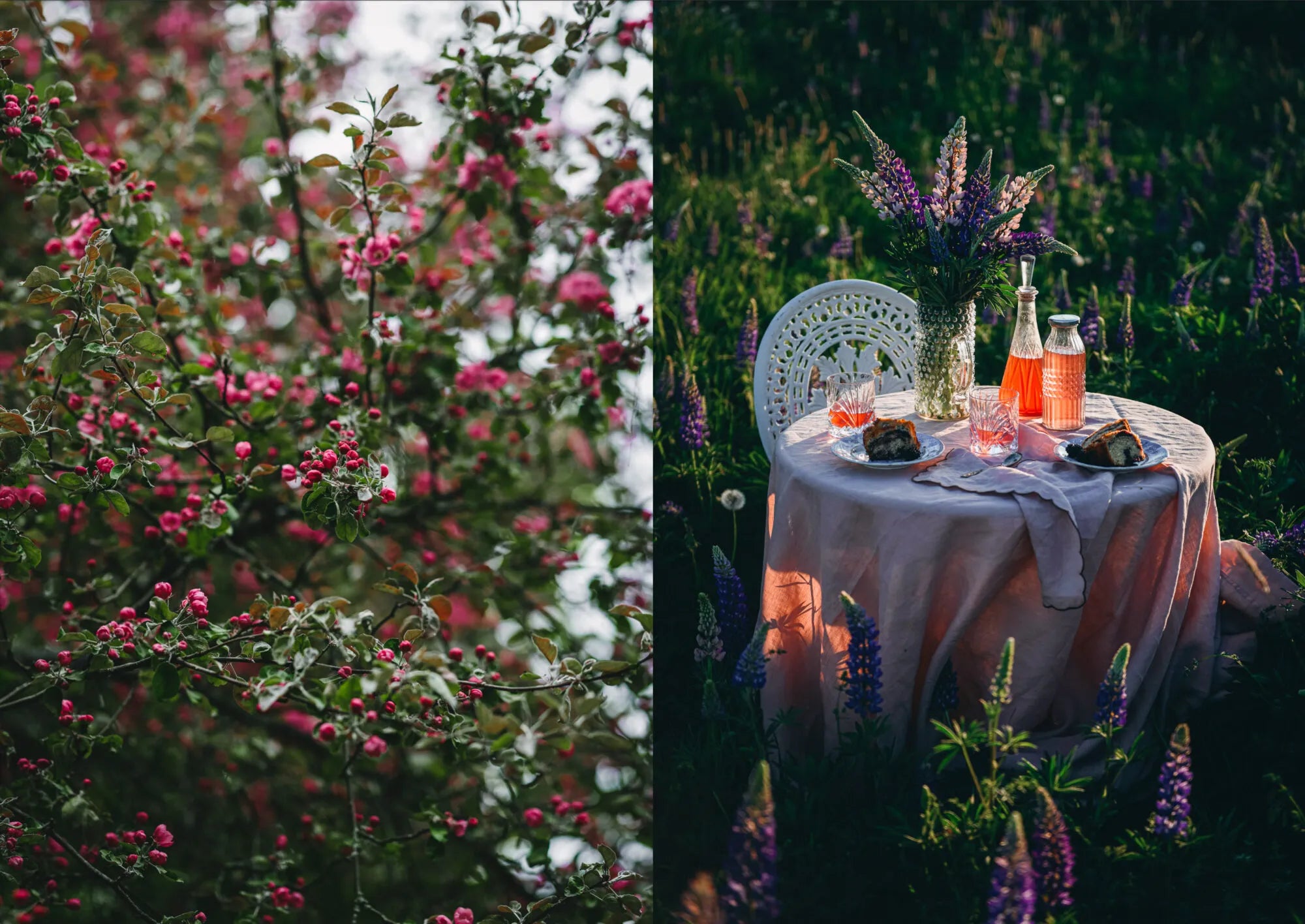 Left: Close-up of a tree with pink blossoms. Right: An inviting midsummer table set outdoors with food, drinks, and flowers. Image from the Nordic Summer Cookbook by Cozy Publishing.