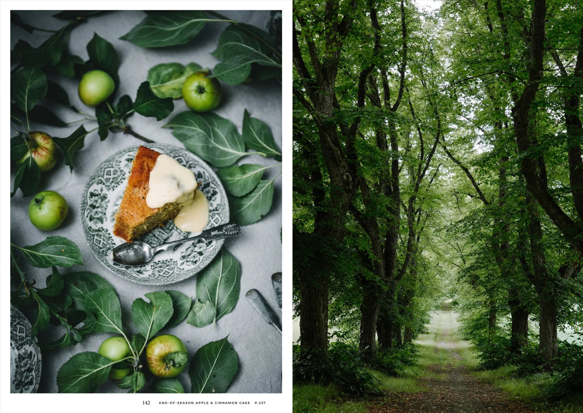 Left: A slice of apple cake with cream on a plate, surrounded by green apples—a taste of summer. Right: A tree-lined path with lush foliage. From the Nordic Summer Cookbook by Cozy Publishing.