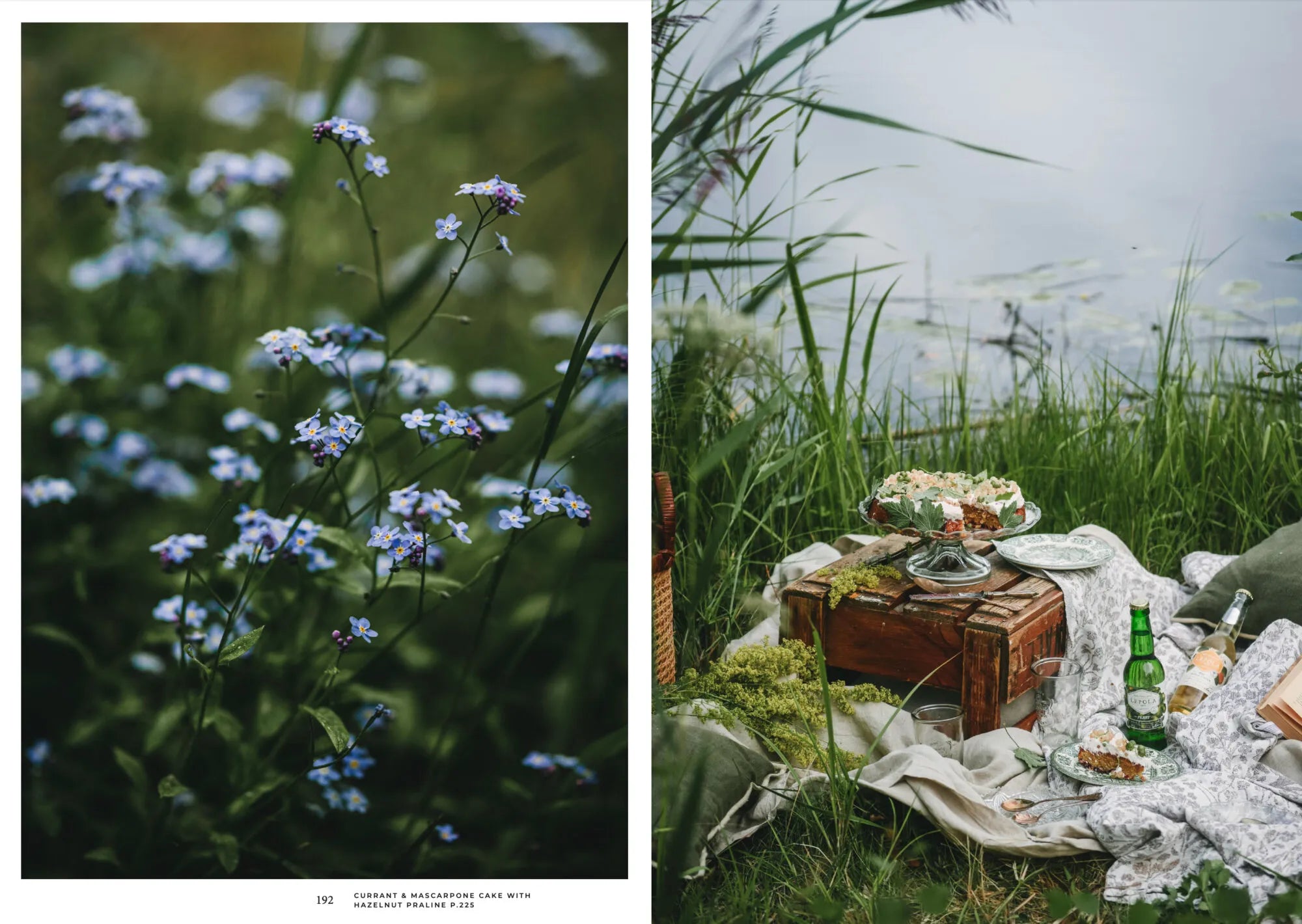 On the left, blue wildflowers in grass. On the right, a scenic picnic by water with food and drinks—a midsummer table set in nature. Featured: Nordic Summer Cookbook by Cozy Publishing.