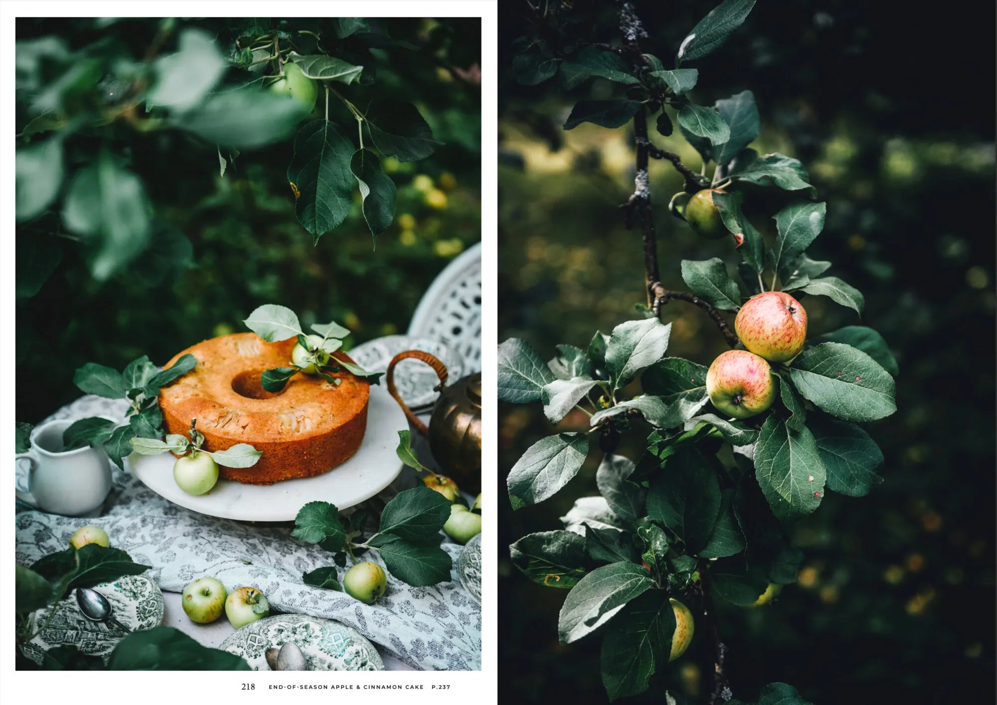 The Nordic Summer Cookbook by Cozy Publishing rests on a lace-covered table with apples and a teapot, surrounded by hanging apple branches—capturing the essence of classic Nordic summer recipes.