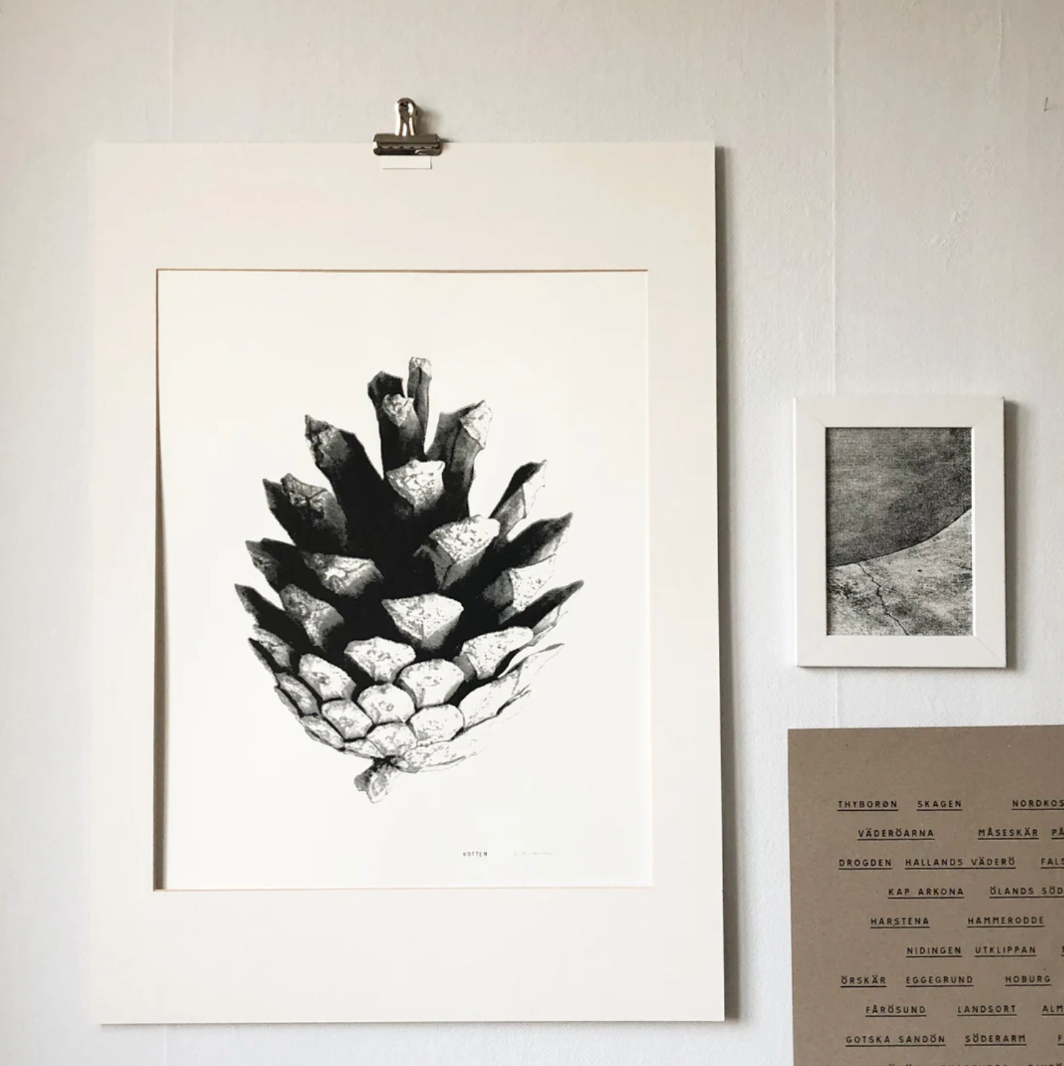 Screenprint Kotten (pinecone) 46 x 64 cm