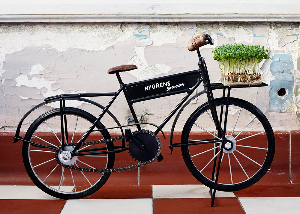 Bicycle Nygrens Specerier Black Bike