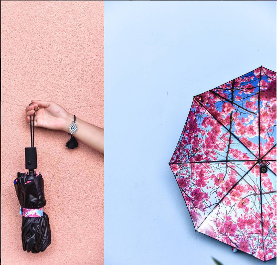 A person holds a closed black Happysweeds Umbrella Cherry with a tassel against a pink wall; next to it, an open windproof Happysweeds Umbrella Cherry featuring a pink blossom pattern stands against a blue background.