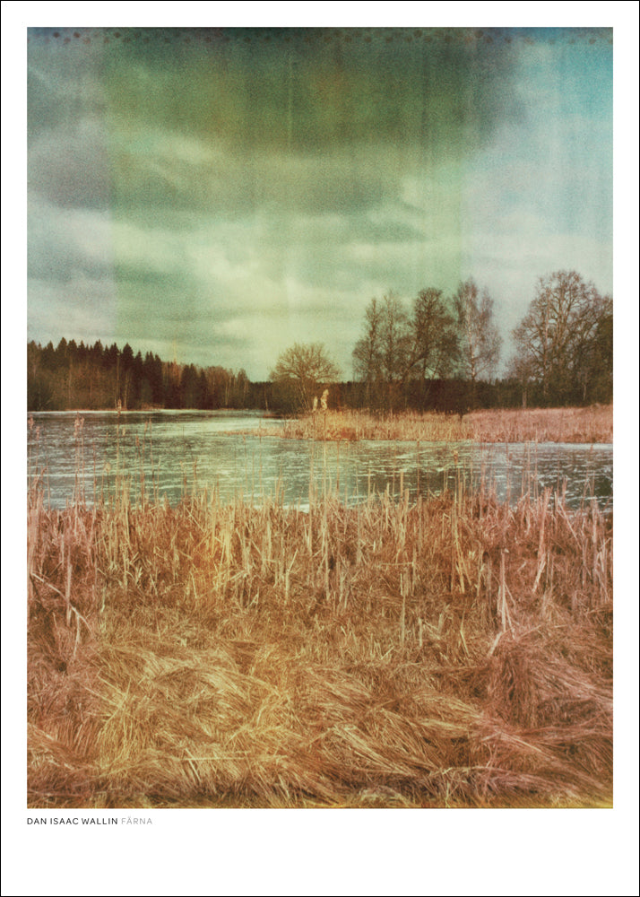 Dan Isaac Wallin - Färna Print 30x40cm - Blabar Nordic Living