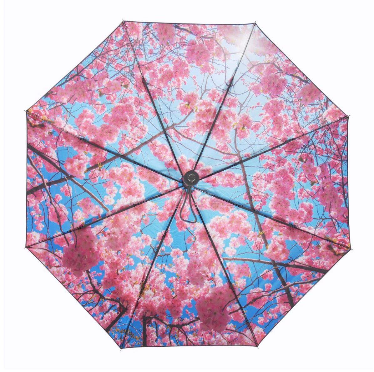 The Happysweeds Umbrella Cherry features a compact, automatic design with a pink cherry blossom and blue sky print—stylish protection for any weather.