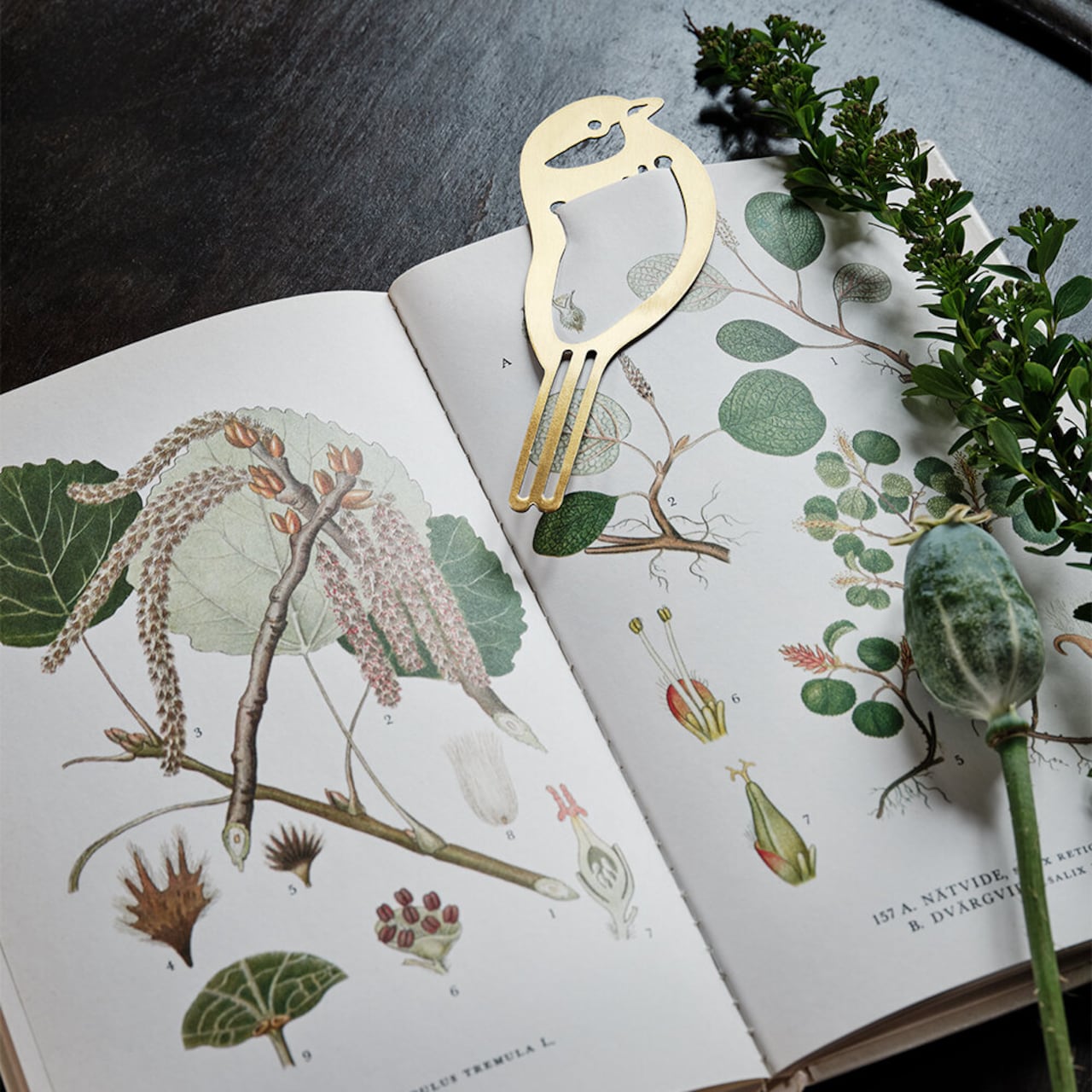 An open botanical illustration book topped with the Strömshaga Book Marker Bird in Brass and green plant sprigs—a charming reading accessory.