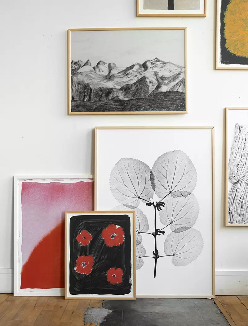 Scarlet Pimpernel Print, 40x50 cm