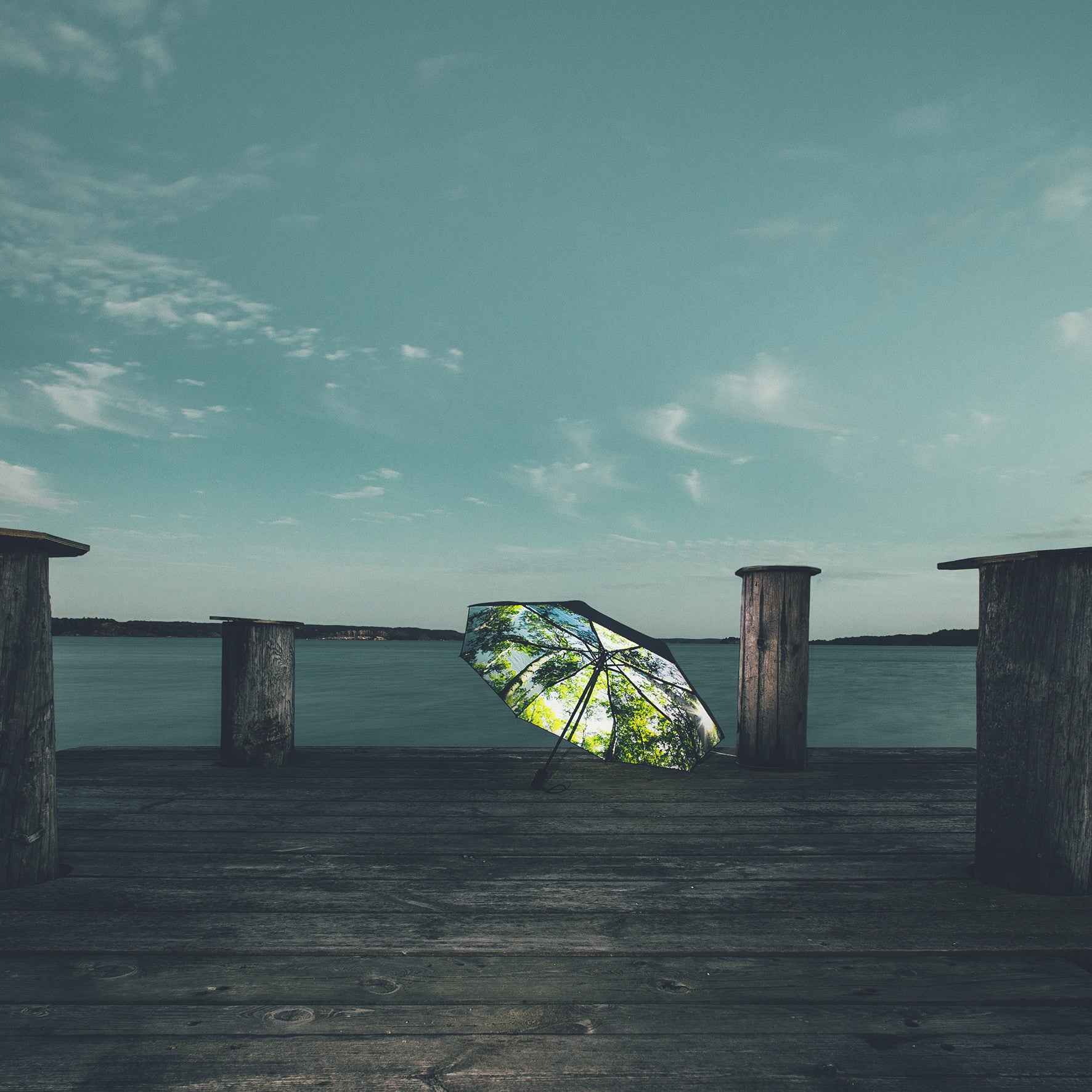The Happysweeds Umbrella Forest, featuring a tree and sky design, is displayed on a wooden dock between four posts with calm water and clouds in the background.