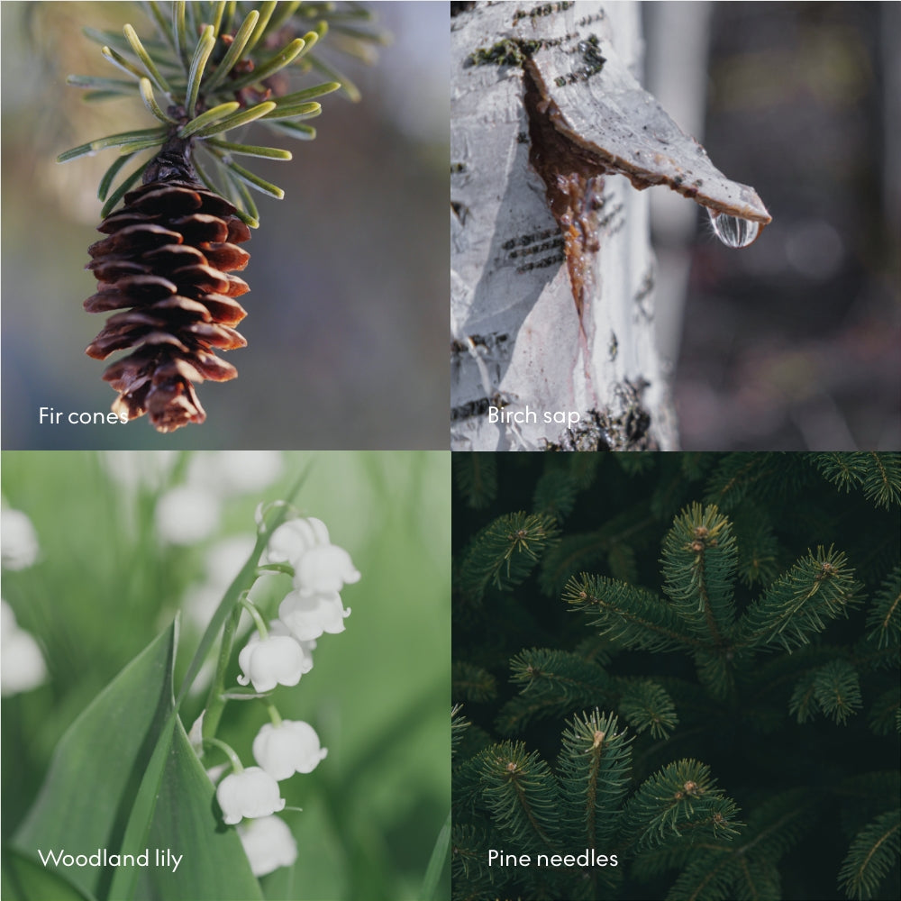 Scent Diffuser Refill Skog