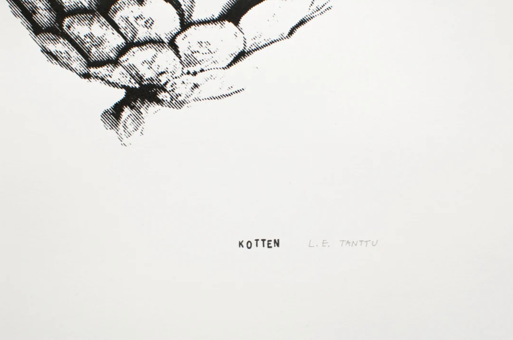 Screenprint Kotten (pinecone) 46cm x 64cm - Blabar Nordic Living