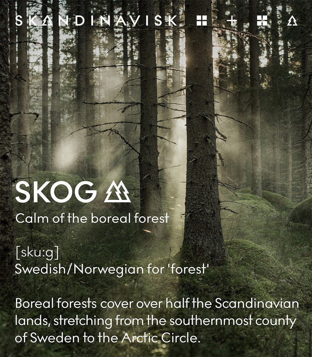 Towering pine trees in a misty boreal forest with moss-covered ground. Text overlays feature "SKOG"—Swedish/Norwegian for "forest"—alongside details about Scandinavia's unique boreal landscapes. This serene scene captures the fresh, natural aromas found in our Skandinavisk Giftset Scented Candles Hibernate, which includes three mini candles: Skog, Koto & Hygge. Each candle is hand-poured using Swedish rapeseed wax, offering a thoughtful gift inspired by the tranquility of nature.