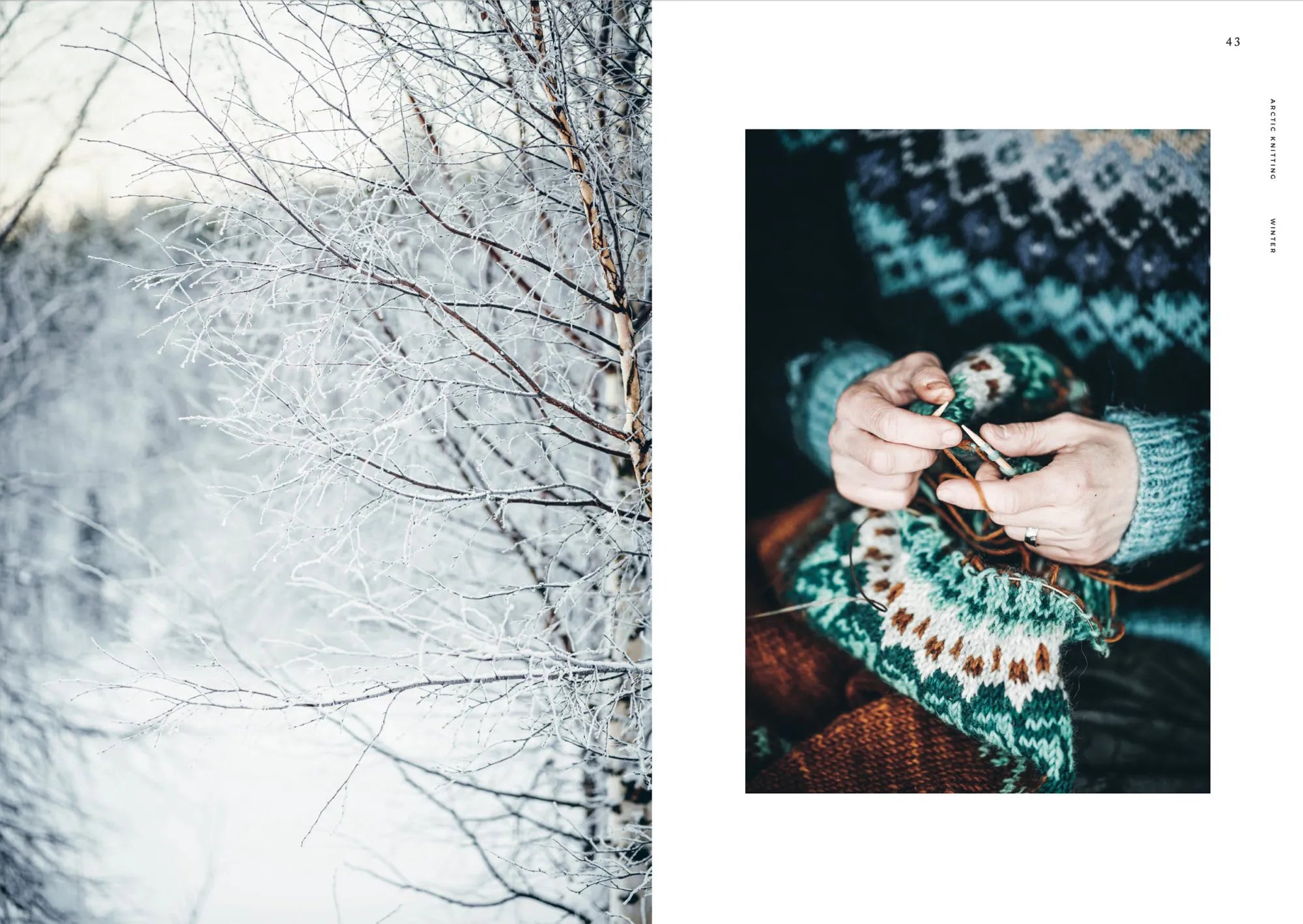 On the right, hands knit a vibrant sweater inspired by Lapland from "Arctic Knitting, The Magic of Nature and Colourwork" by Cozy Publishing, while the left shows frosty, snow-covered tree branches in a winter scene.