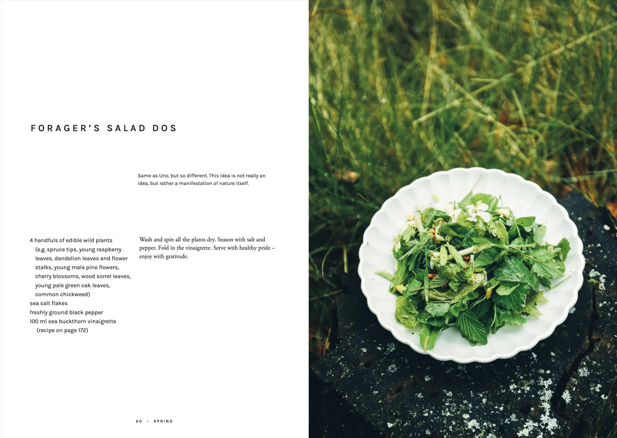 A white plate filled with a green salad rests on a moss-covered rock outdoors, surrounded by tall grass. Text on the left details the recipe for Foragers Salad Dos from Chef’s Wild Nordic, Recipes for 72 Micro-Seasons by Cozy Publishing, highlighting wild food cuisine and featuring various wild edible plants as unique ingredients.