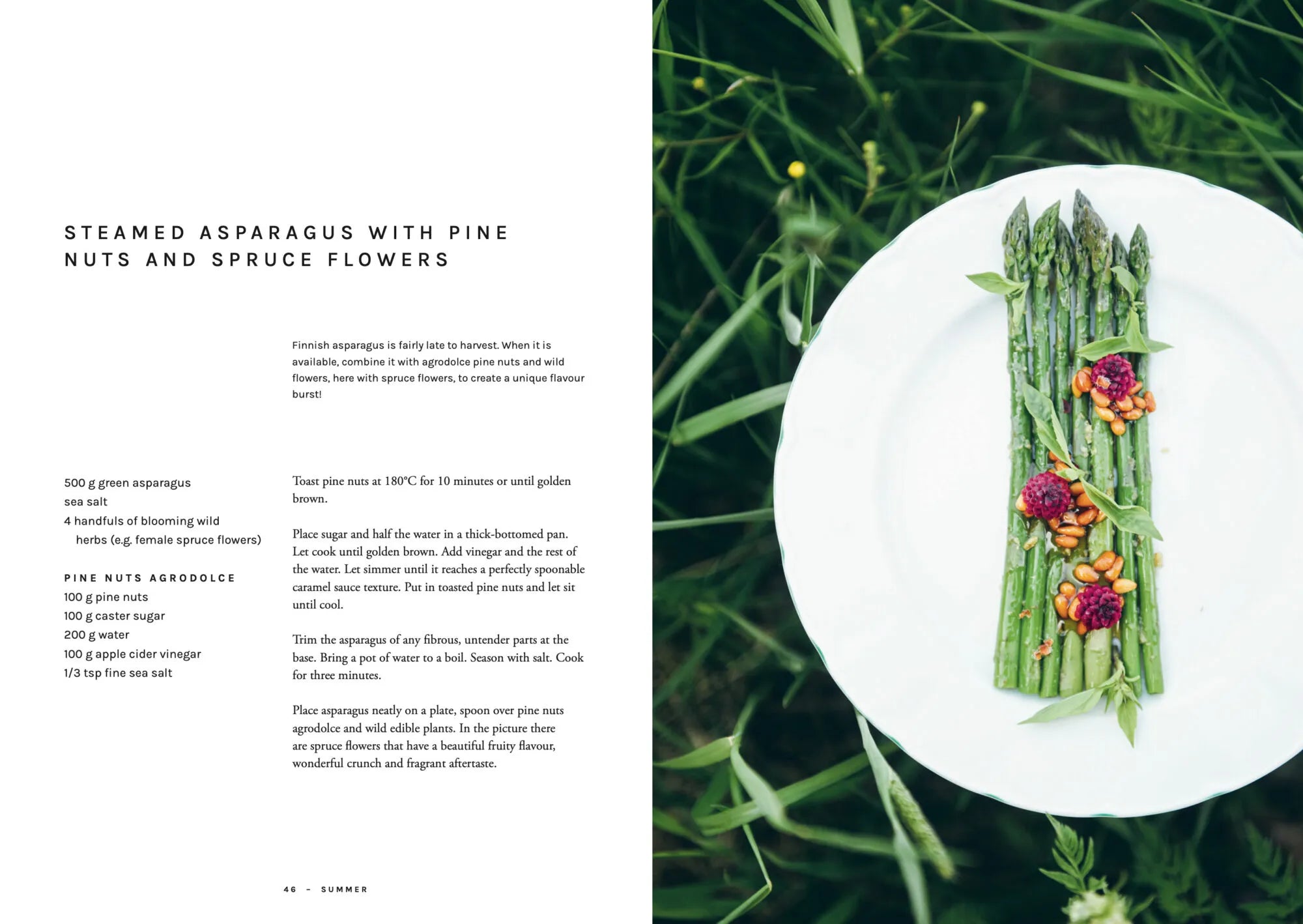A plate of steamed asparagus adorned with pine nuts and delicate purple flowers, artfully arranged on a white rectangular dish, rests on a table amid lush green grass. Beside the image, text from Chef’s Wild Nordic, Recipes for 72 Micro-Seasons by Cozy Publishing celebrates wild food cuisine and the elegant use of foraged ingredients in this creation.
