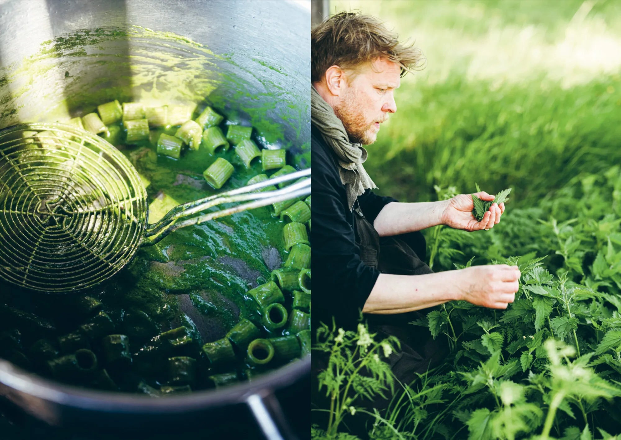 In a scene inspired by Chef’s Wild Nordic, Recipes for 72 Micro-Seasons from Cozy Publishing, a man gathers wild ingredients in the field; beside him, a pot with green-tinged pasta and a submerged strainer underscores his dedication to crafting foraged dishes.