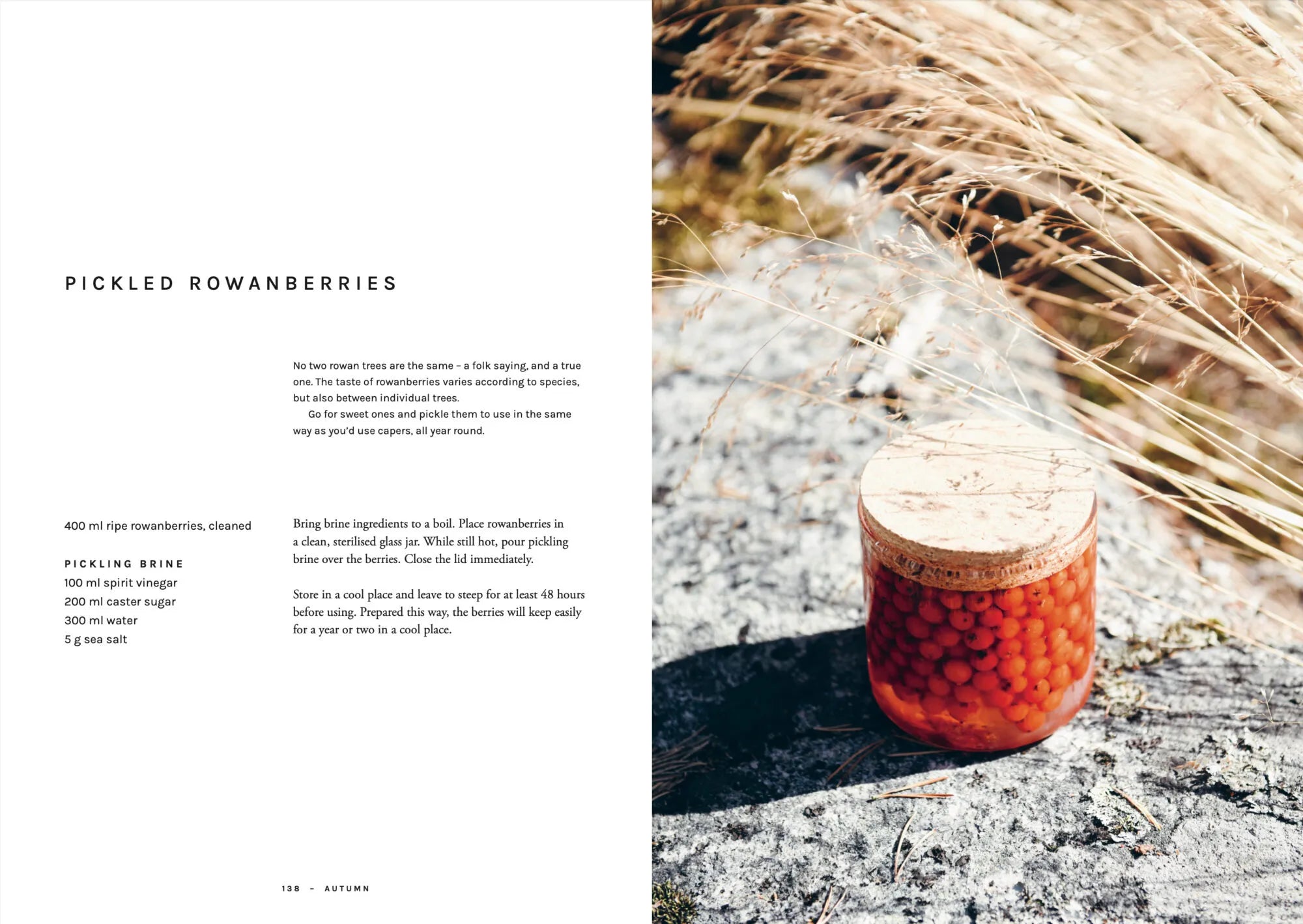 A glass jar filled with pickled rowanberries sits on a sunlit rock outdoors, surrounded by dry grass—a vibrant celebration of wild food cuisine. On the left side of the image, a printed recipe for pickled rowanberries from Chef’s Wild Nordic, Recipes for 72 Micro-Seasons by Cozy Publishing rests on a white background, inviting you to explore creative foraged recipes and discover unique wild ingredients.