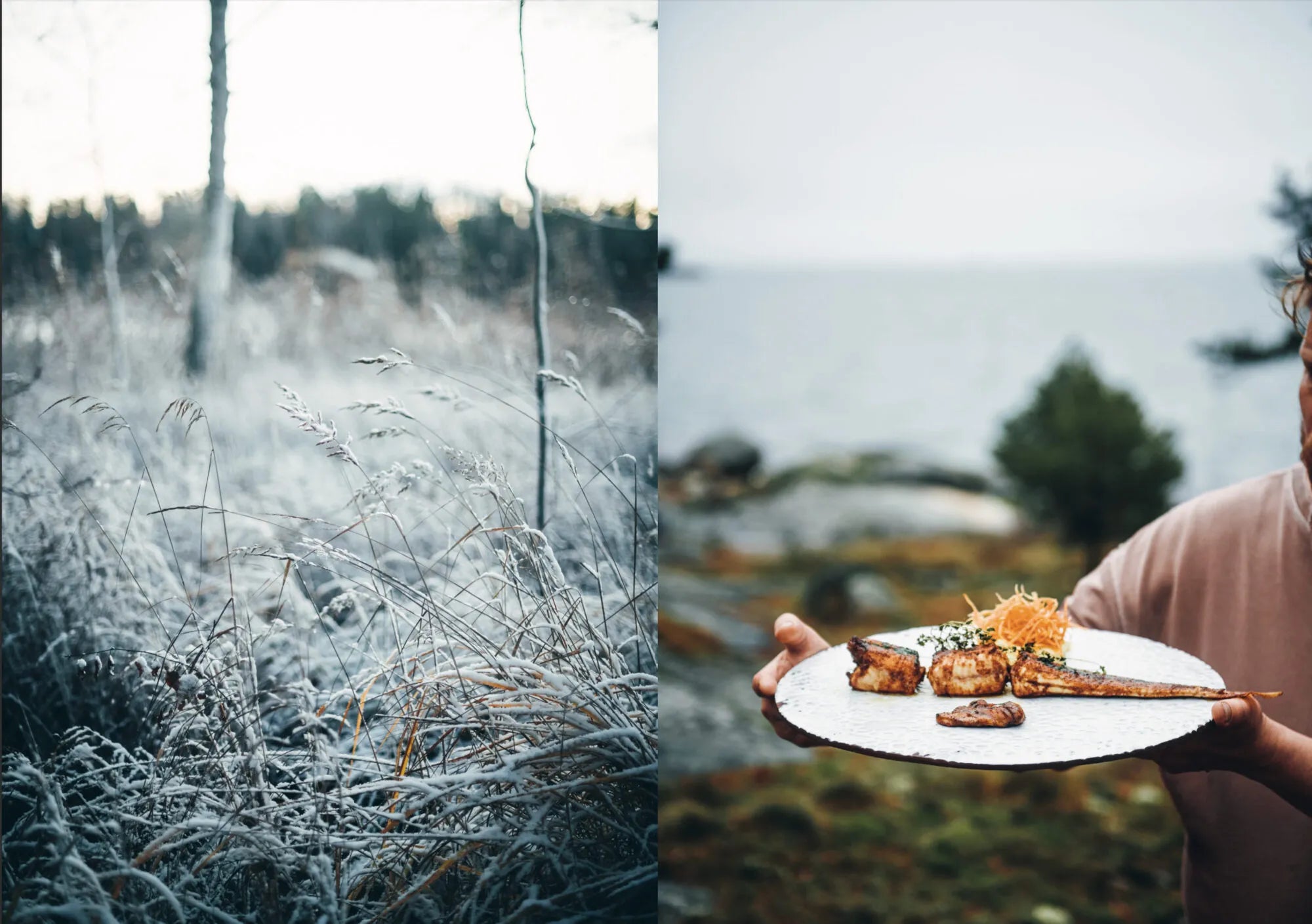 Left: Frost-covered grass in a wintry landscape. Right: A person holds a plate of gourmet food outdoors by the water, highlighting wild food cuisine with foraged recipes inspired by Chef’s Wild Nordic, Recipes for 72 Micro-Seasons from Cozy Publishing, set against trees and an overcast sky in the background.