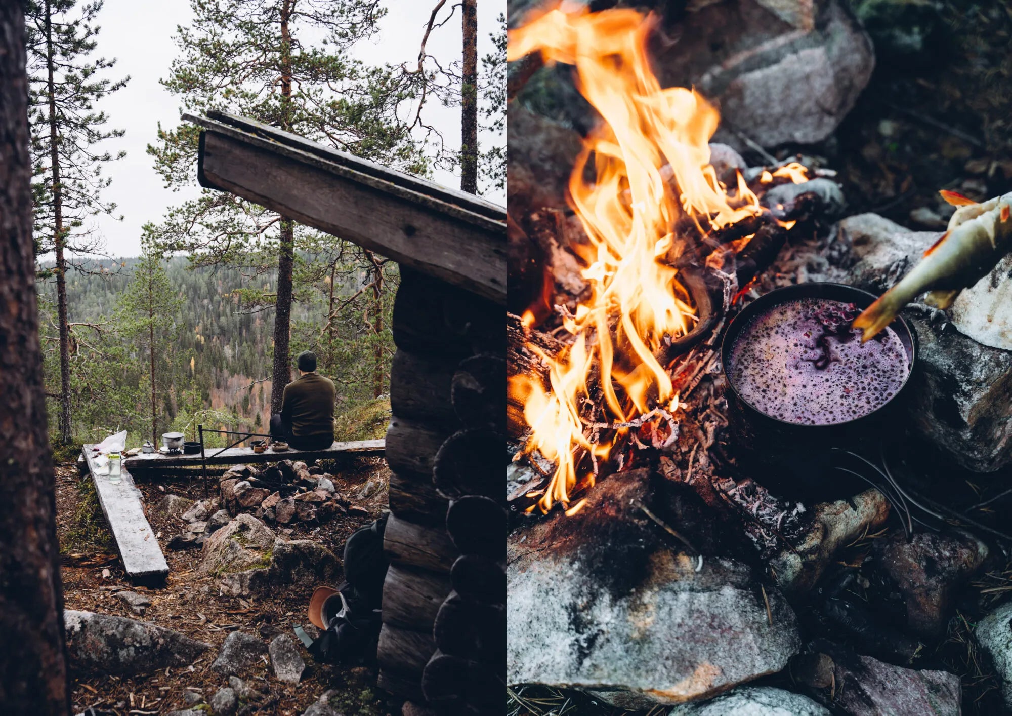 Nestled beside a rustic cabin in a forest clearing, an adventurer prepares vegetarian recipes from Food Over the Campfire – Recipes for Day Hikes and Wilderness Treks by Cozy Publishing; a pot simmers over the campfire as they experiment with new wilderness cooking techniques.