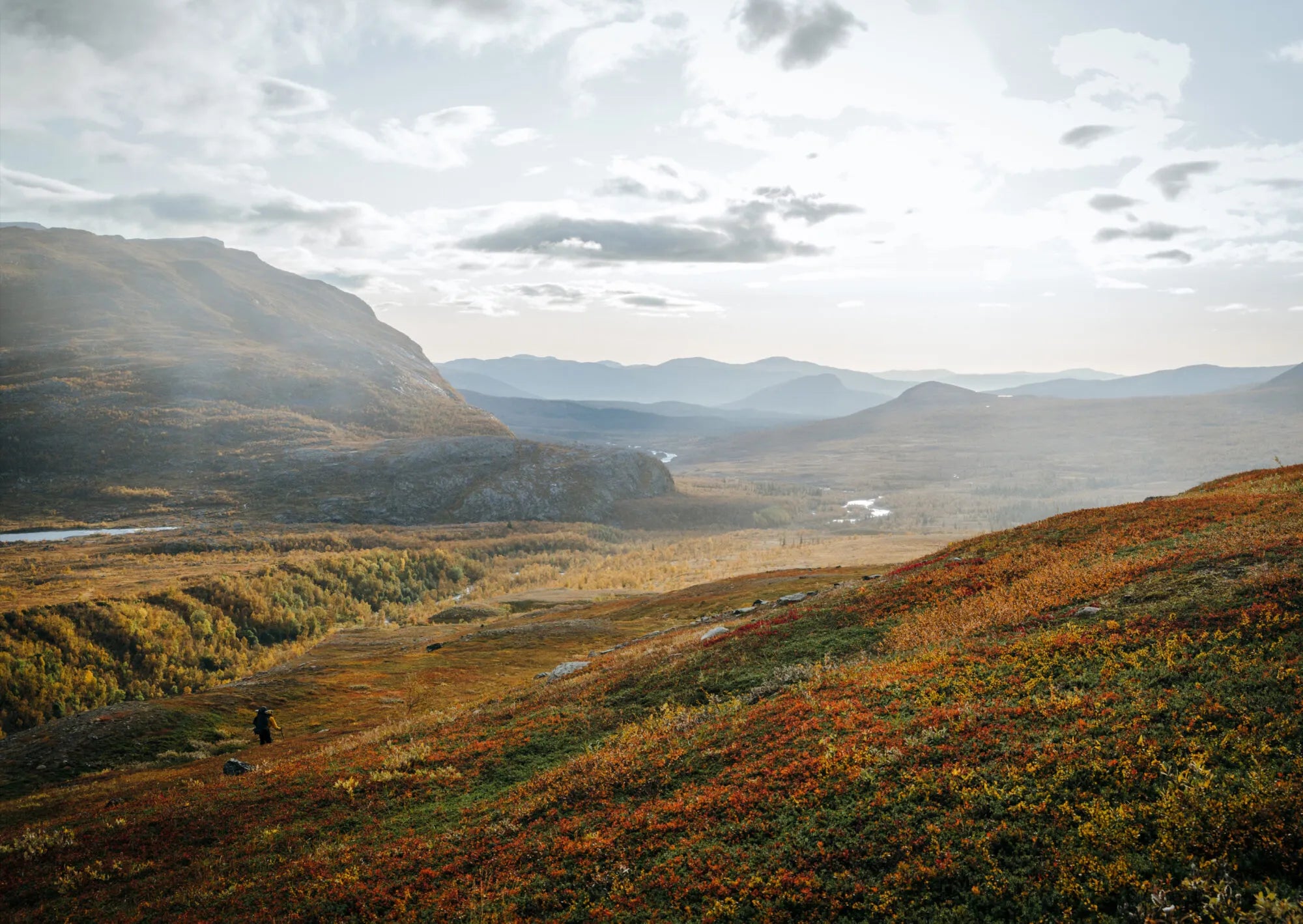 Rolling hills covered in autumn foliage stretch toward a distant mountain range beneath a cloudy sky. In the lower left, a person in dark clothing explores the landscape, perhaps inspired by *Food Over the Campfire – Recipes for Day Hikes and Wilderness Treks* from Cozy Publishing, searching for ingredients to try new campfire recipes amidst the vibrant wilderness.
