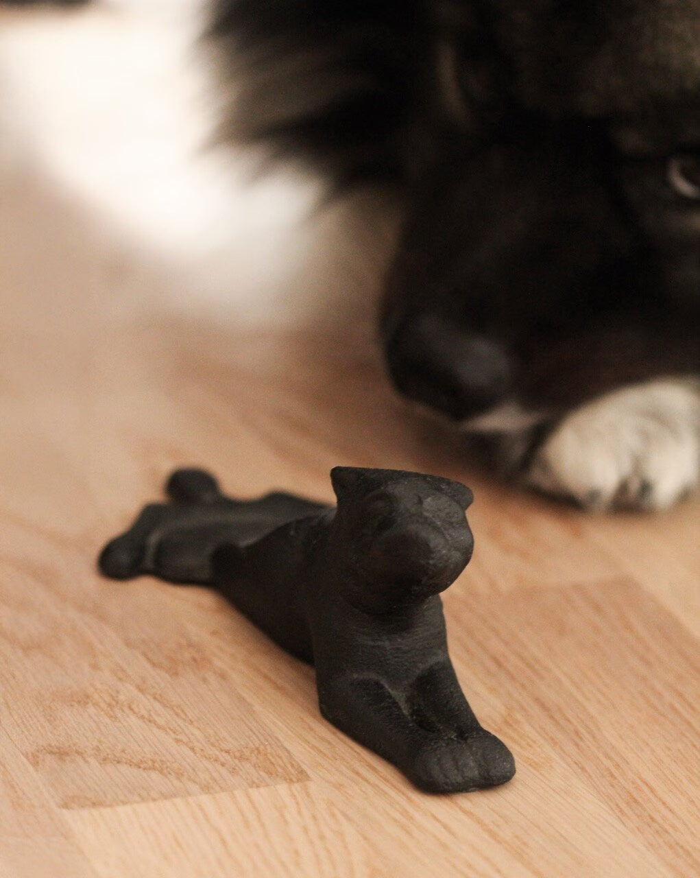 A dog rests on a wooden floor beside the Strömshaga Door Stopper Dog, in cast iron—a delightful scene for dog lovers and perfect for adding charm to any home.