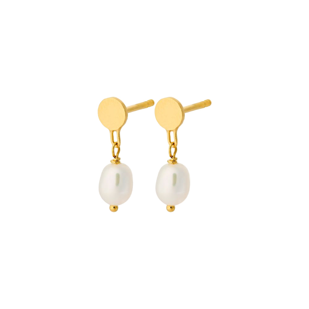 The Ocean Dream Earrings in Gold with Freshwater Pearls by Pernille Corydon feature small, round gold discs and dangling pearls—an elegant accessory suitable for any occasion, shown on a plain white background.