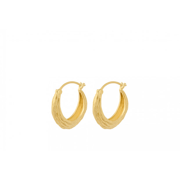Coastline Earrings in Gold
