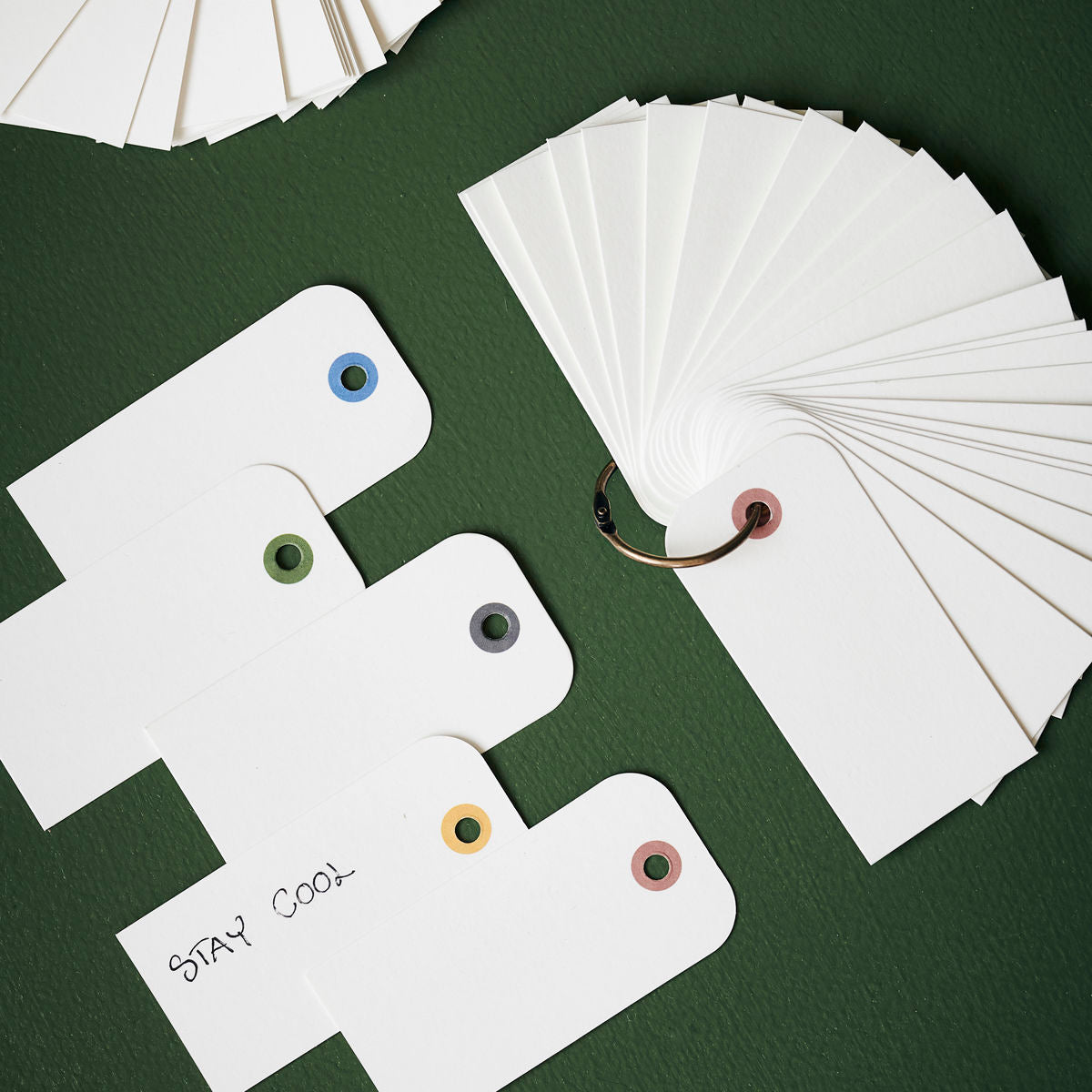 Monograph Gift Tags, White, Set of 25—blank cards with colored hole reinforcements, some on a metal ring and others loose. Perfect for creative gift wrapping and personalizing gifts with handwritten messages like "STAY COOL.
