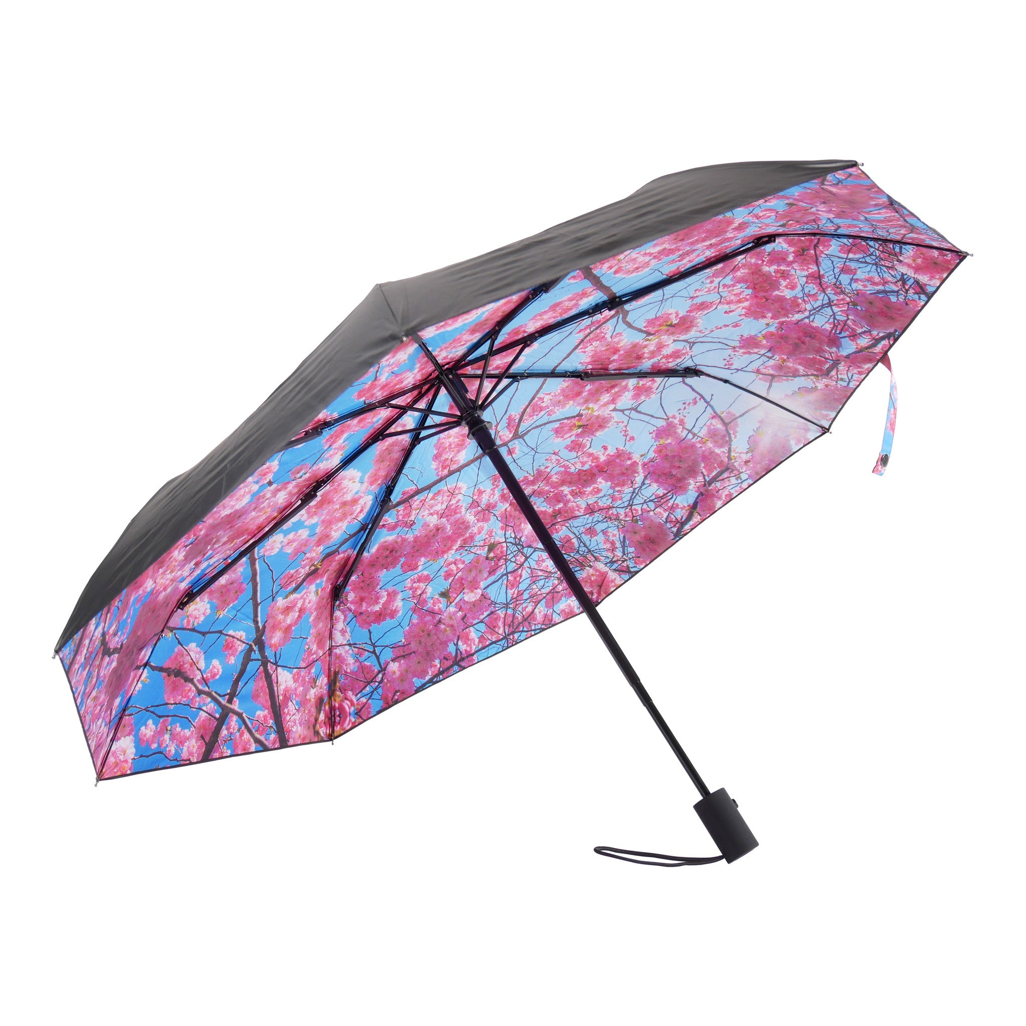 Umbrella Cherry - Blabar