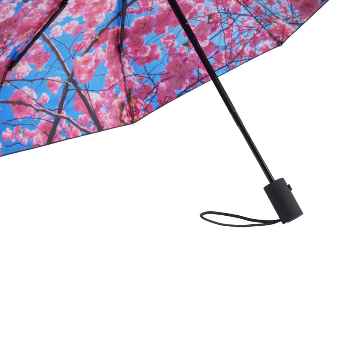 Umbrella Cherry