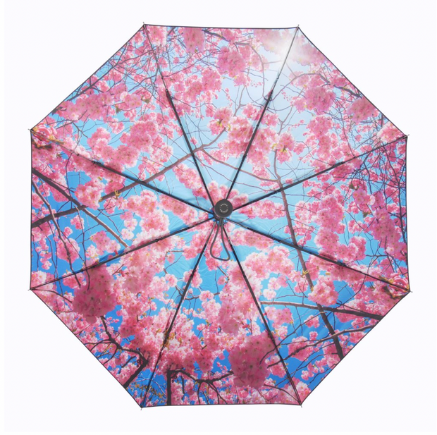 Umbrella Cherry